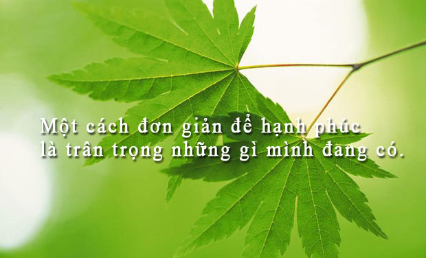Hãy Sống Đúng Nghĩa Chứ Đừng Tồn Tại!